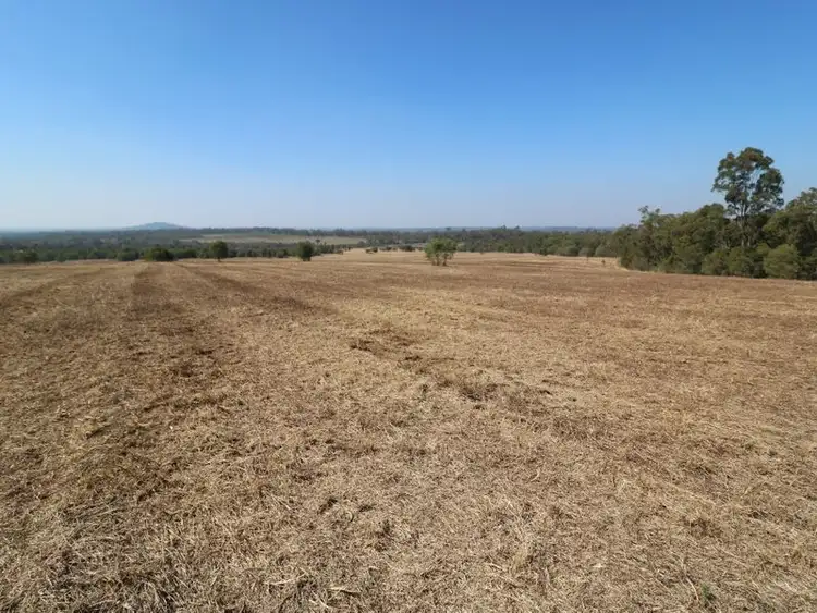 Seventh view of Homely rural property listing, 378 Butchers Road, South Isis QLD 4660