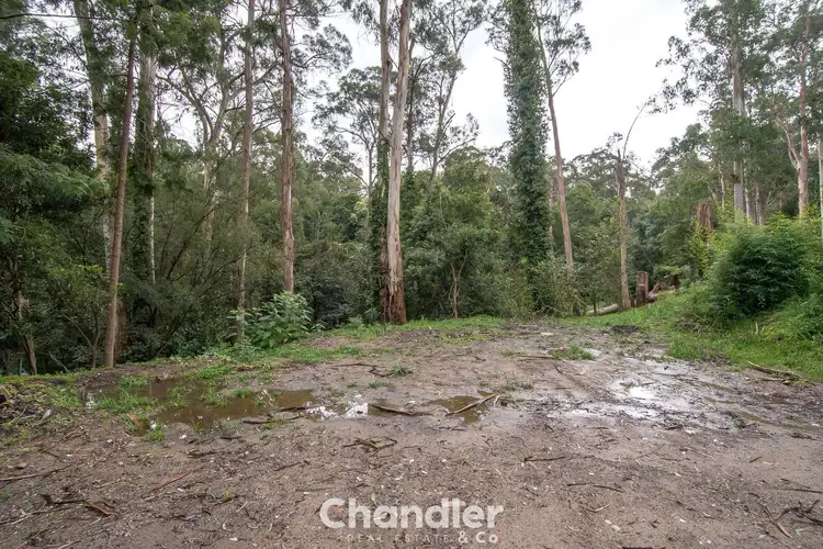 Main view of Homely land listing, 11 Colin Avenue, Belgrave VIC 3160