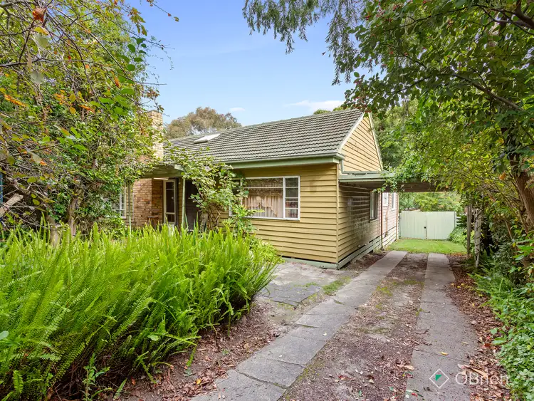 Third view of Homely house listing, 19 Richards Avenue, Croydon VIC 3136