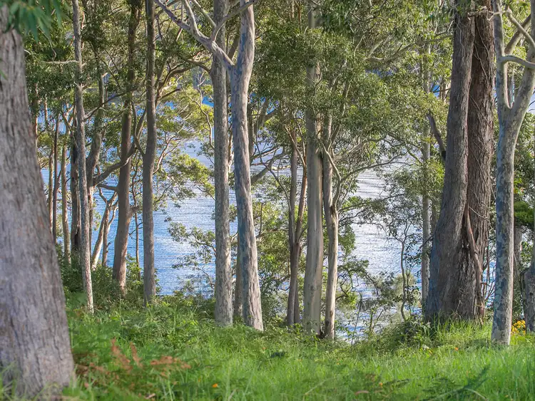 Seventh view of Homely land listing, 58 Kings Point Drive, Kings Point NSW 2539