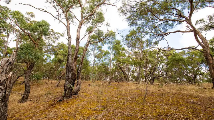 Fifth view of Homely rural property listing, Lot 16 Browns Road, Dereel VIC 3352