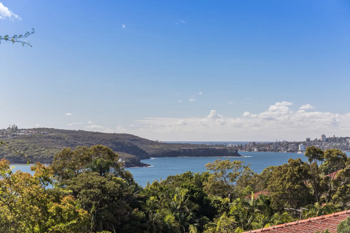 Main view of Homely house listing, 3 Redan Street, Mosman NSW 2088