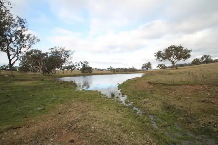 Seventh view of Homely rural property listing, 850 Hughes Road, Piambong NSW 2850