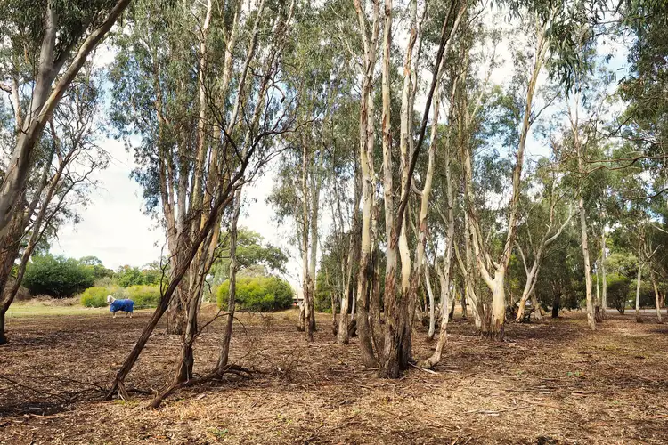 Second view of Homely land listing, Lot 2 Hillary's Road, Elmhurst VIC 3469