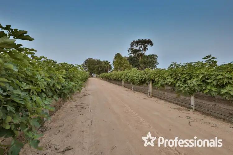 Fourth view of Homely rural property listing, 2738 Eleventh Street, Nichols Point VIC 3501