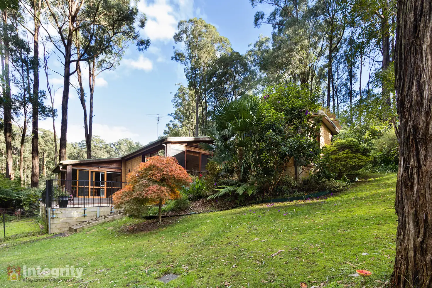 Main view of Homely house listing, 12 C J Dennis Road, Toolangi VIC 3777