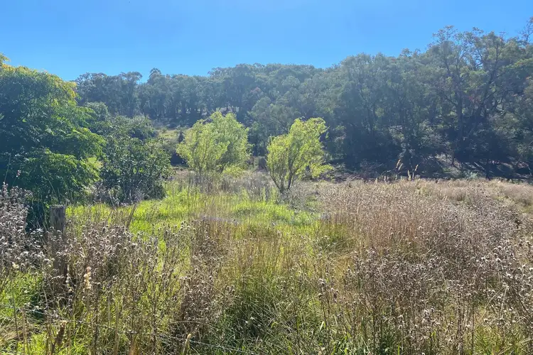 Main view of Homely rural property listing, 99 Merinda Street, Mudgee NSW 2850