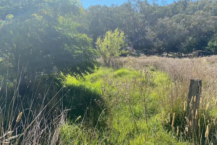 Second view of Homely rural property listing, 99 Merinda Street, Mudgee NSW 2850