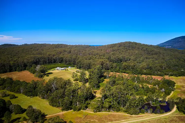 Third view of Homely rural property listing, 360 Bobs Creek Road, Bobs Creek NSW 2443