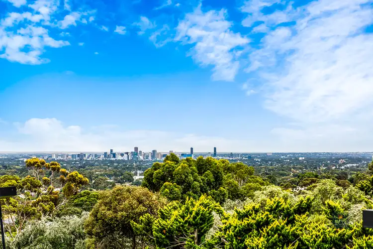 Second view of Homely house listing, 17 Alton Avenue, Torrens Park SA 5062