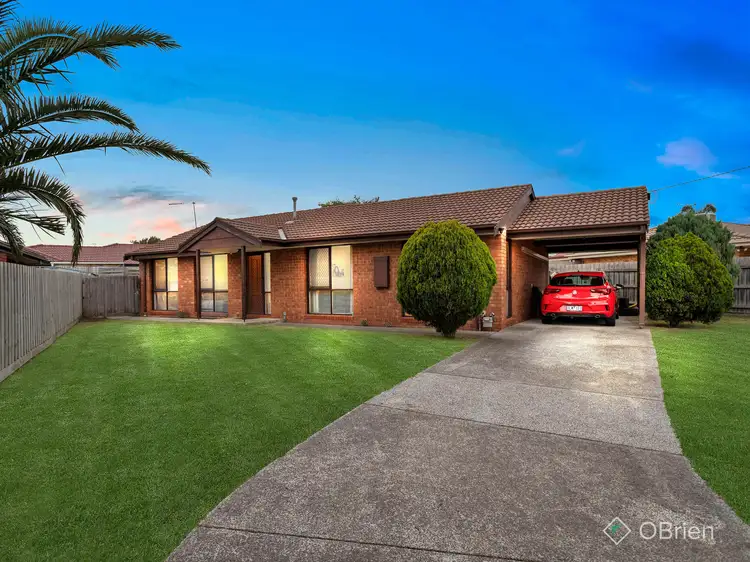 Main view of Homely house listing, 161 Cadles Road, Carrum Downs VIC 3201