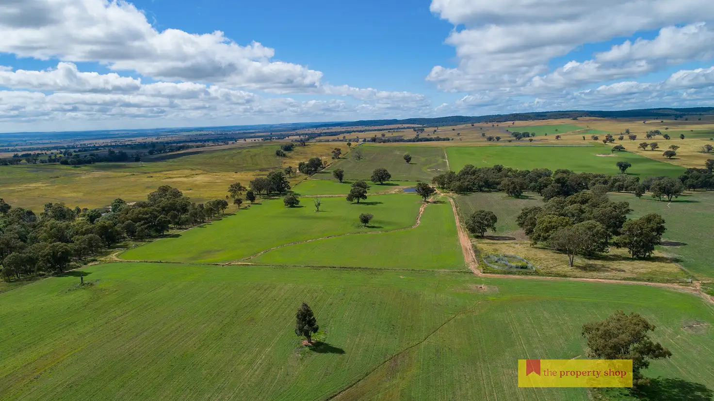 Main view of Homely rural property listing, 2610 Castlereagh Highway, Mudgee NSW 2850
