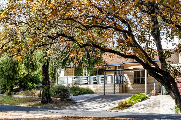 Fourth view of Homely house listing, 18 Elese Avenue, Campbelltown SA 5074