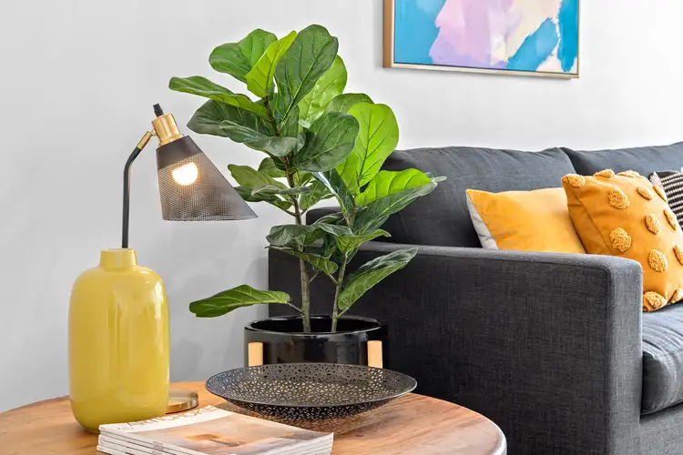 Fourth view of Homely apartment listing, 5/123 Murray Street, Caulfield VIC 3162