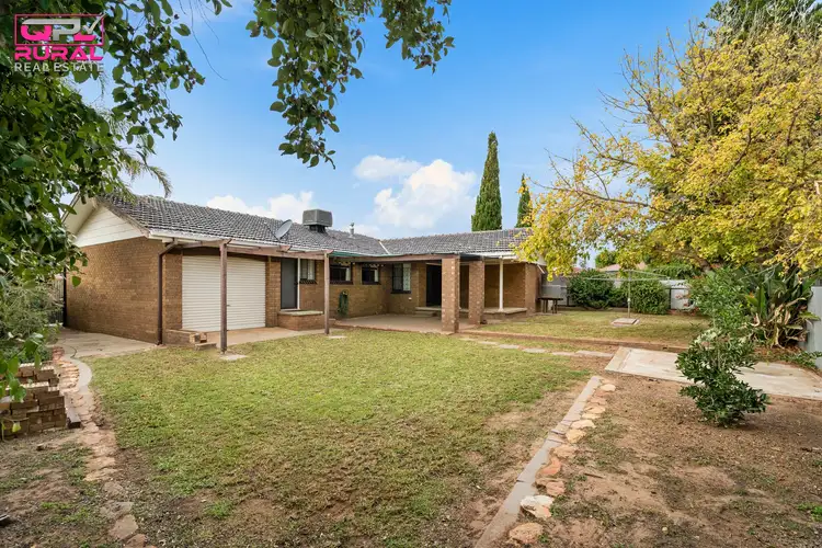 Second view of Homely house listing, 10 Japonica Place, Narrandera NSW 2700