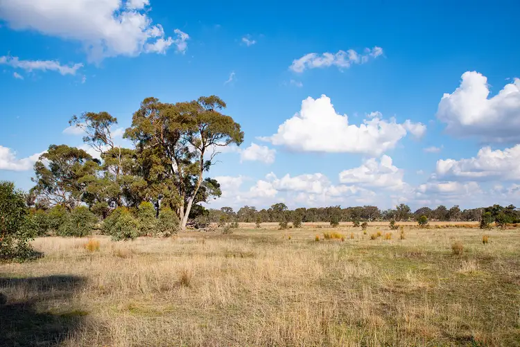 Third view of Homely land listing, LOT 1, 157 Three Chain Road, Walmer VIC 3463
