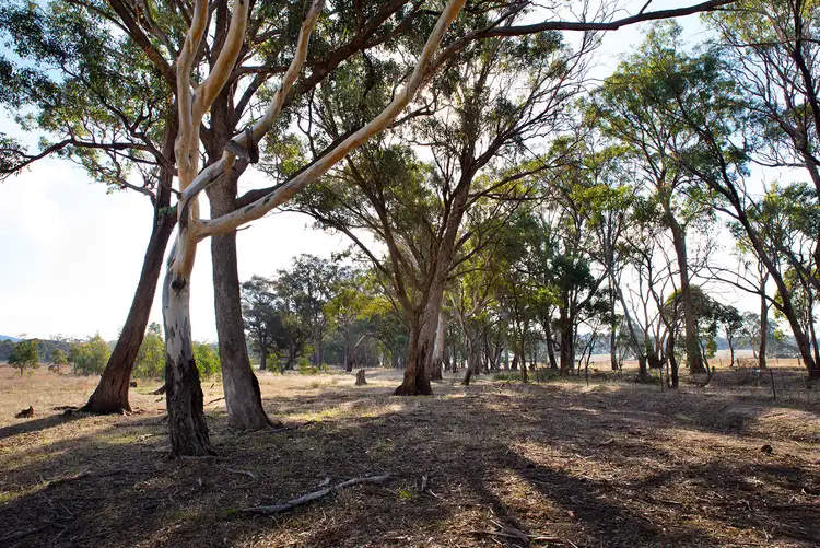 Fourth view of Homely land listing, LOT 1, 157 Three Chain Road, Walmer VIC 3463