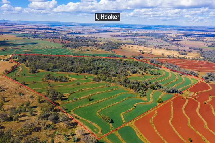 Third view of Homely rural property listing, 913 Nullamanna Road, Inverell NSW 2360