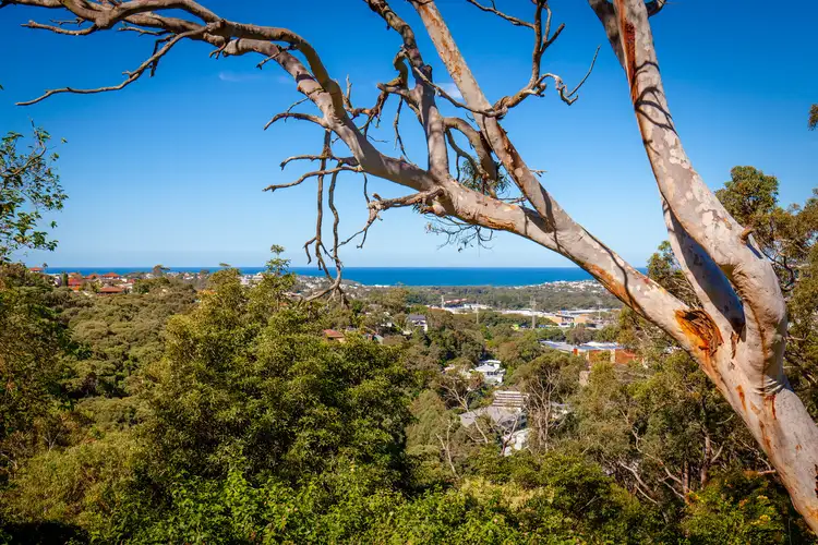 Fifth view of Homely land listing, 8 Aperta Place, Beacon Hill NSW 2100