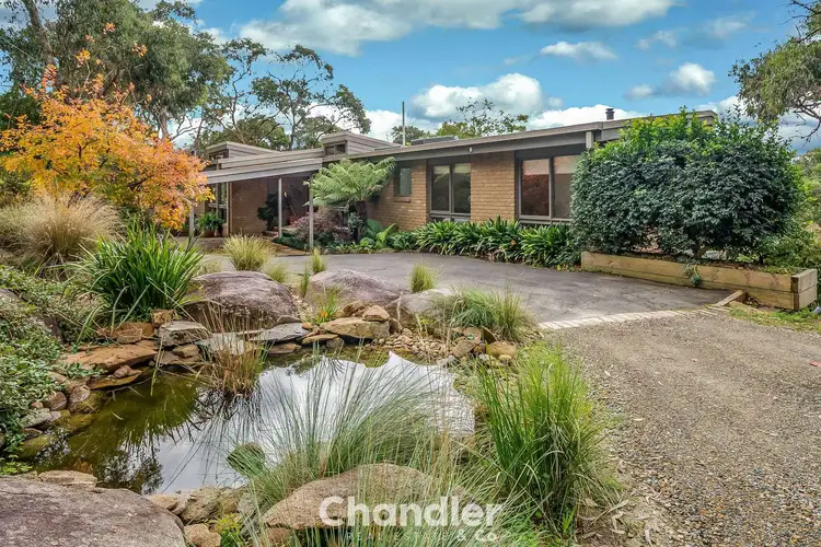 Main view of Homely house listing, 19 Cambridge Street, Belgrave South VIC 3160