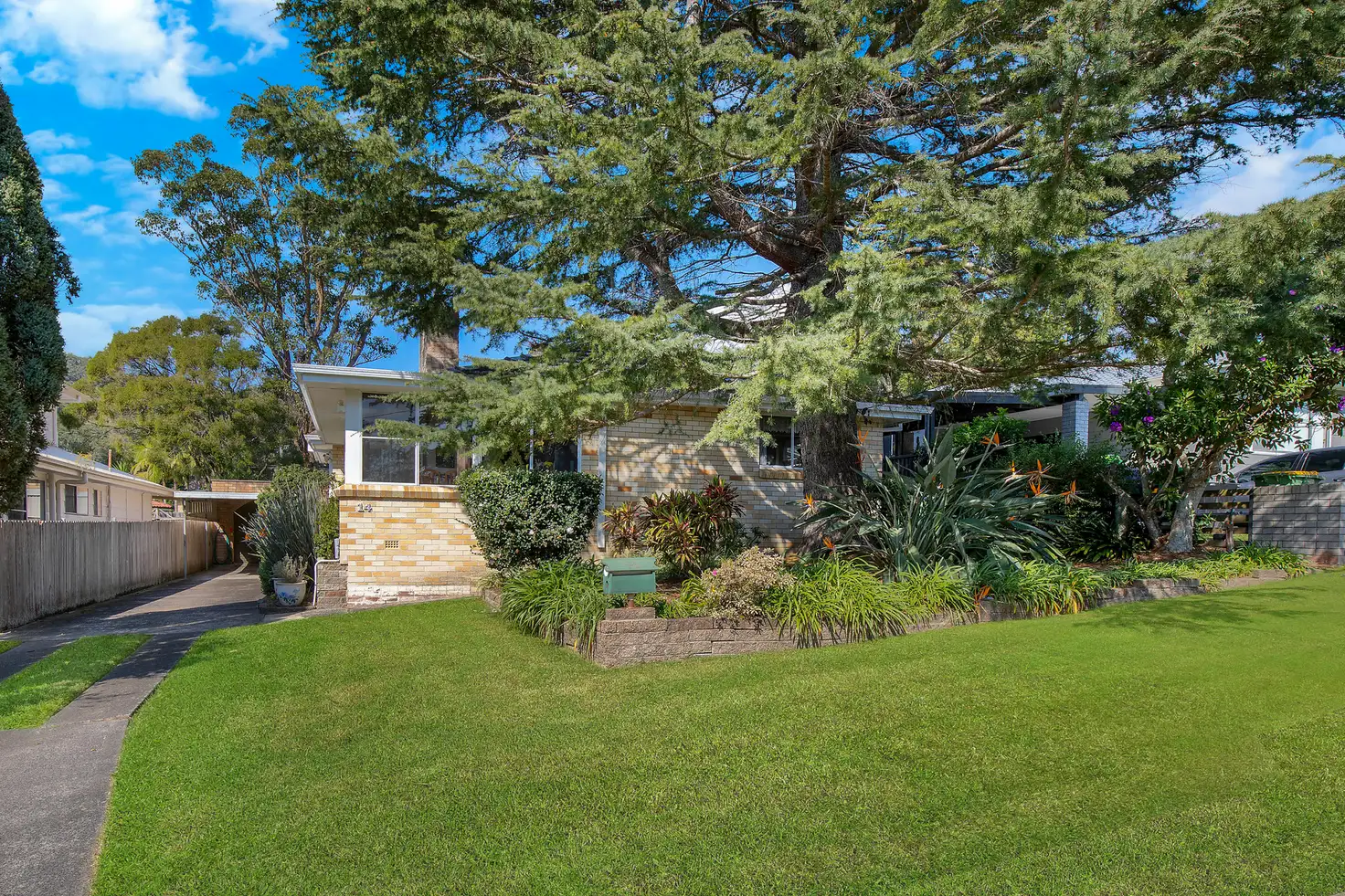 Main view of Homely house listing, 14 Craigend Street, Wyoming NSW 2250