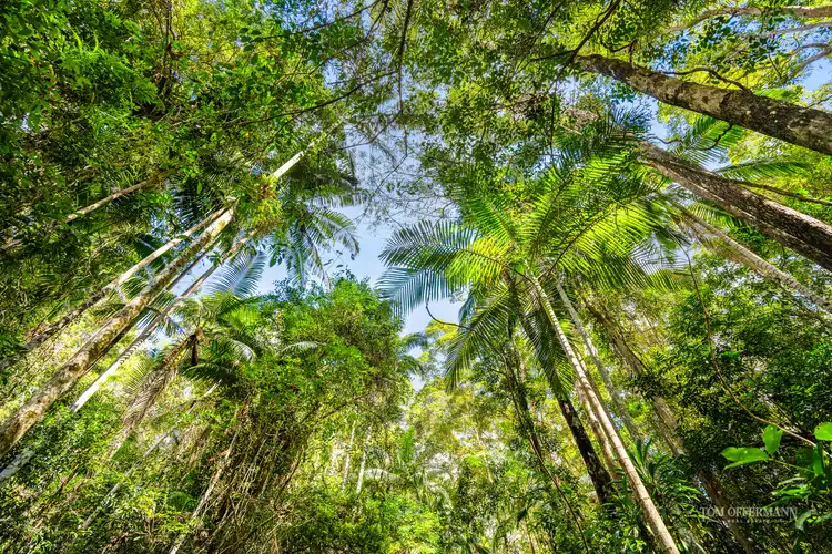 Third view of Homely land listing, 19 Minura Court, Doonan QLD 4562