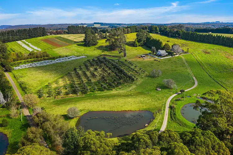 Main view of Homely rural property listing, 'Old Laurel Hill' 82 Ryans Lane, Wildes Meadow NSW 2577