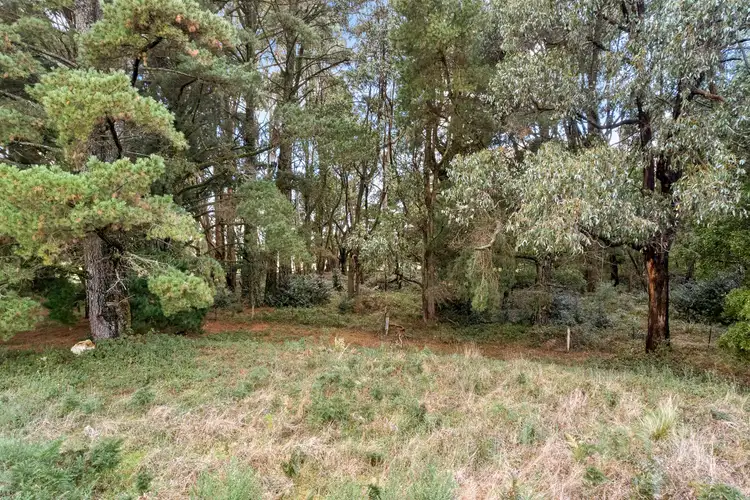 Second view of Homely land listing, 519 Blackwood Road, Newbury VIC 3458