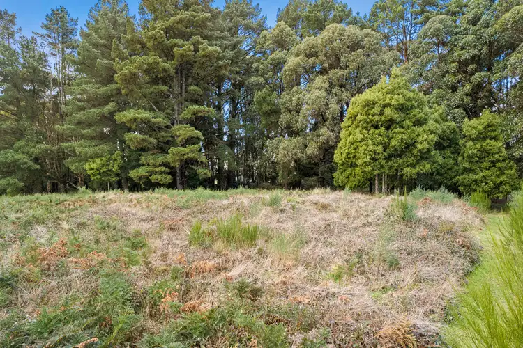 Fourth view of Homely land listing, 519 Blackwood Road, Newbury VIC 3458