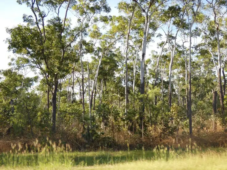 LOT 5793, 285 Monaghan Road, Lloyd Creek NT 822
