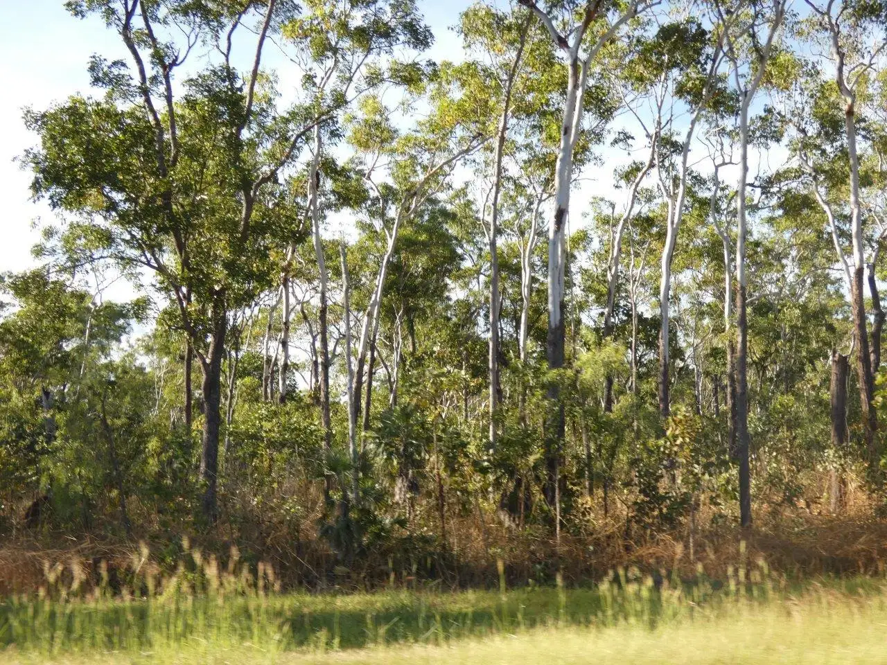 Main view of Homely land listing, LOT 5793, 285 Monaghan Road, Lloyd Creek NT 822