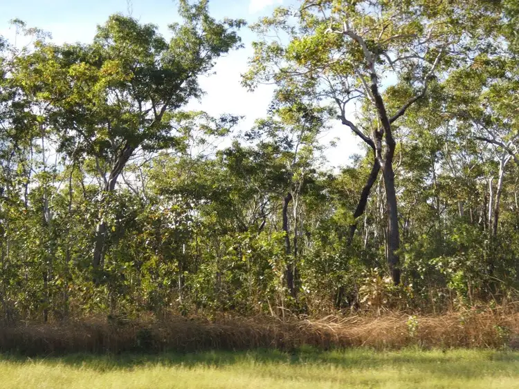 Sixth view of Homely land listing, LOT 5793, 285 Monaghan Road, Lloyd Creek NT 822