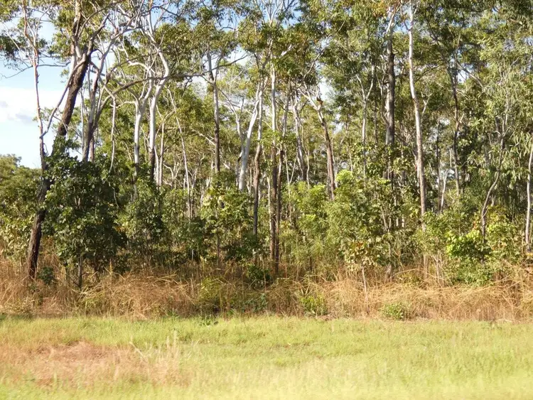 Seventh view of Homely land listing, LOT 5793, 285 Monaghan Road, Lloyd Creek NT 822