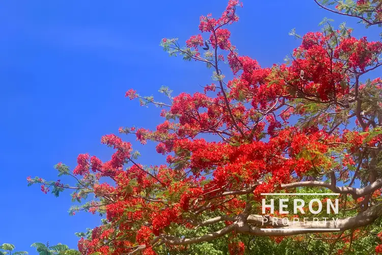 Second view of Homely house listing, 4 Macartney Street, Fannie Bay NT 820