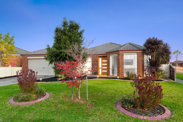 Main view of Homely house listing, 317 Ormond Road, Narre Warren South VIC 3805