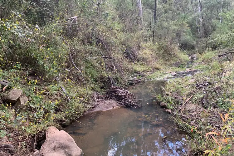 Second view of Homely rural property listing, 1020 Upper Botobolar Road, Mudgee NSW 2850