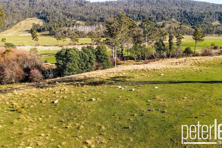 Fifth view of Homely land listing, 521 Patersonia Road, Patersonia TAS 7259