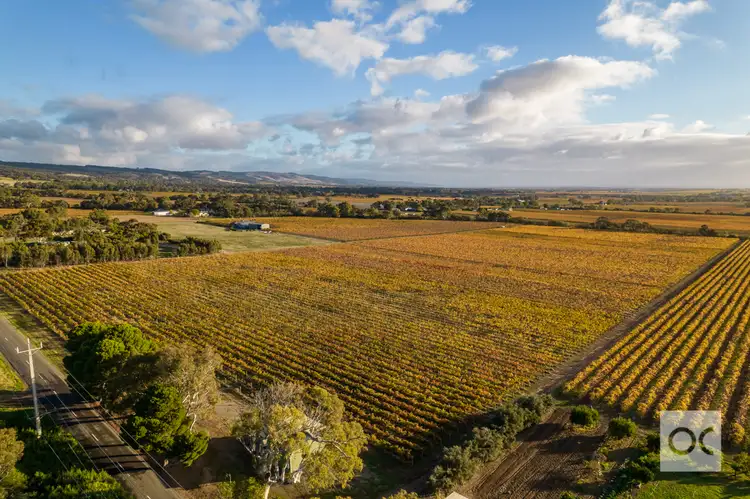 Sixth view of Homely land listing, 25 Strout Road, Mclaren Vale SA 5171