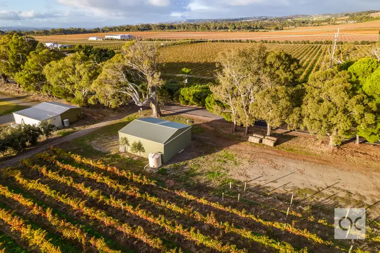 Seventh view of Homely land listing, 25 Strout Road, Mclaren Vale SA 5171