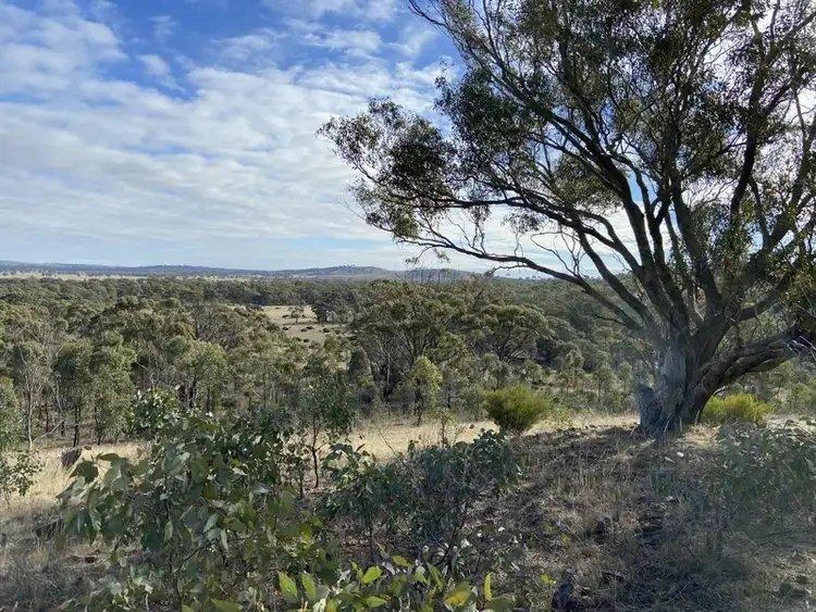 Second view of Homely rural property listing, Lot 1 Greens Lane, Fentons Creek VIC 3518