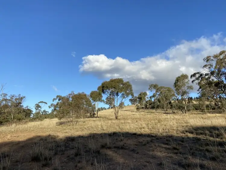 Seventh view of Homely rural property listing, Lot 1 Greens Lane, Fentons Creek VIC 3518