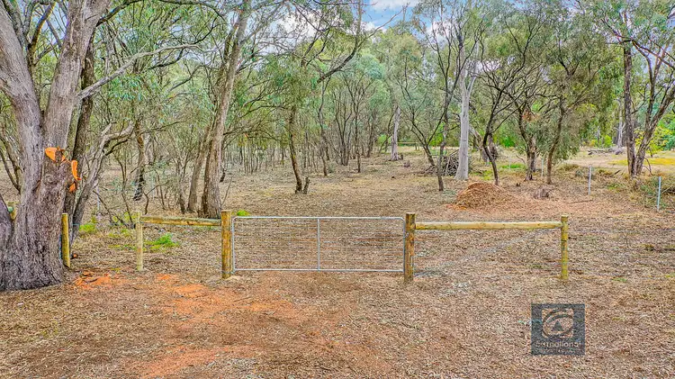 16 Pakenham Street, Echuca VIC 3564