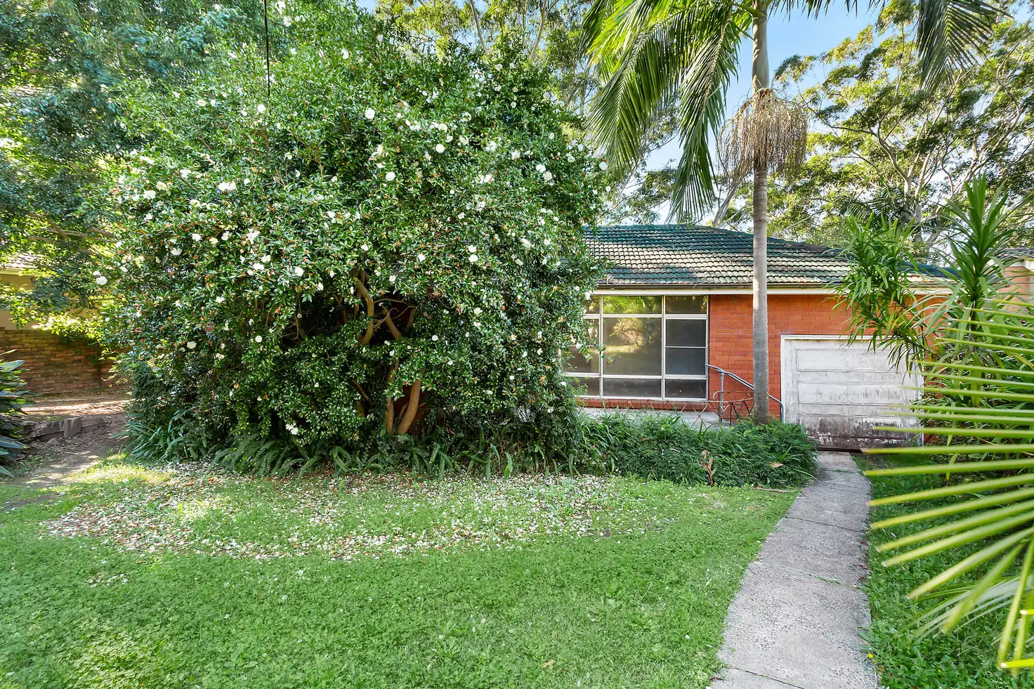 Main view of Homely house listing, 27 Pound Avenue, Frenchs Forest NSW 2086