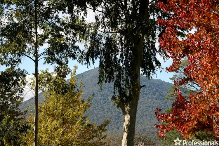 Second view of Homely house listing, 67A Badger Creek Road, Healesville VIC 3777