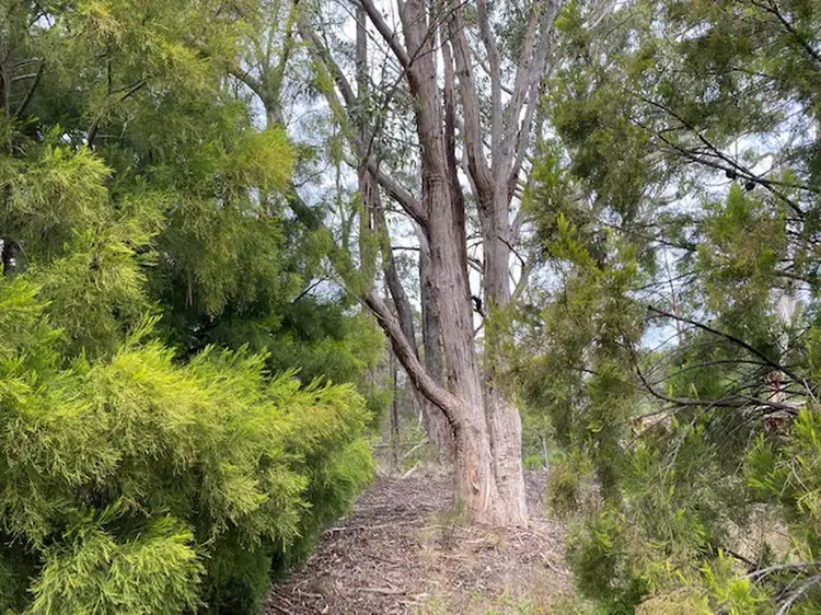 Fourth view of Homely land listing, 17E Byers Road, Blackwood VIC 3458
