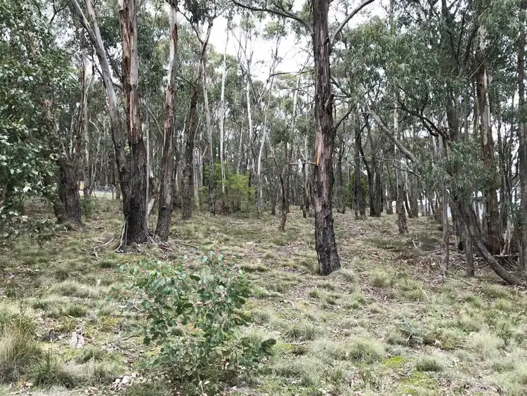 Main view of Homely land listing, 41 Acacia Avenue, Dales Creek VIC 3341