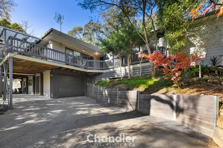 Main view of Homely house listing, 66 Park Drive, Belgrave VIC 3160