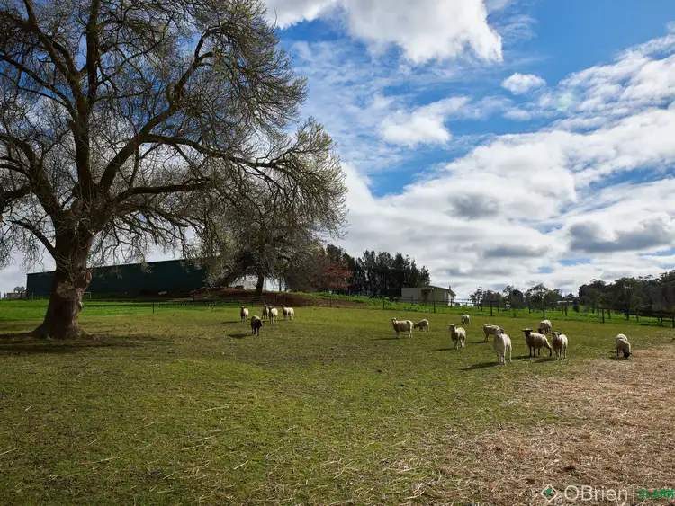 Sixth view of Homely rural property listing, 771 Bloomfield Road, Nilma North VIC 3821