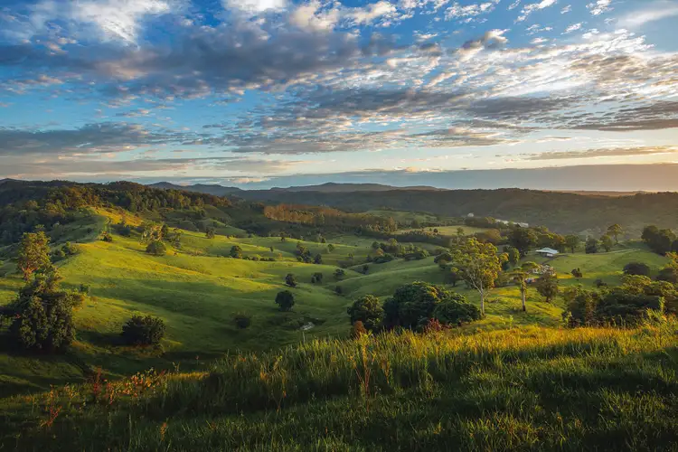 Third view of Homely house listing, 115 Arkinstall Road, Tuntable Creek NSW 2480