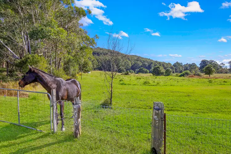 Third view of Homely rural property listing, 532 Jilliby Road, Jilliby NSW 2259